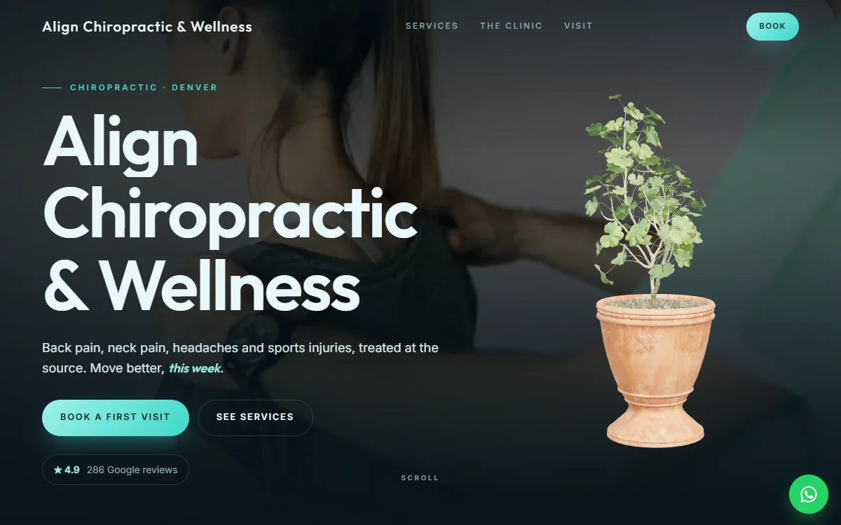 Chiropractor website design by Zetra